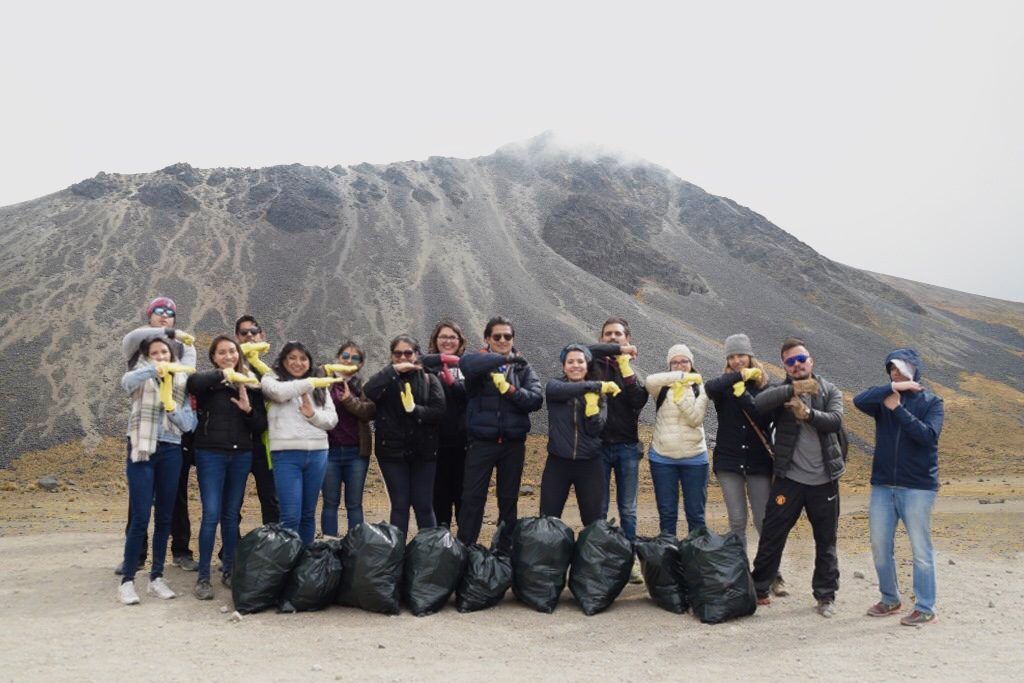 amount of bags collected